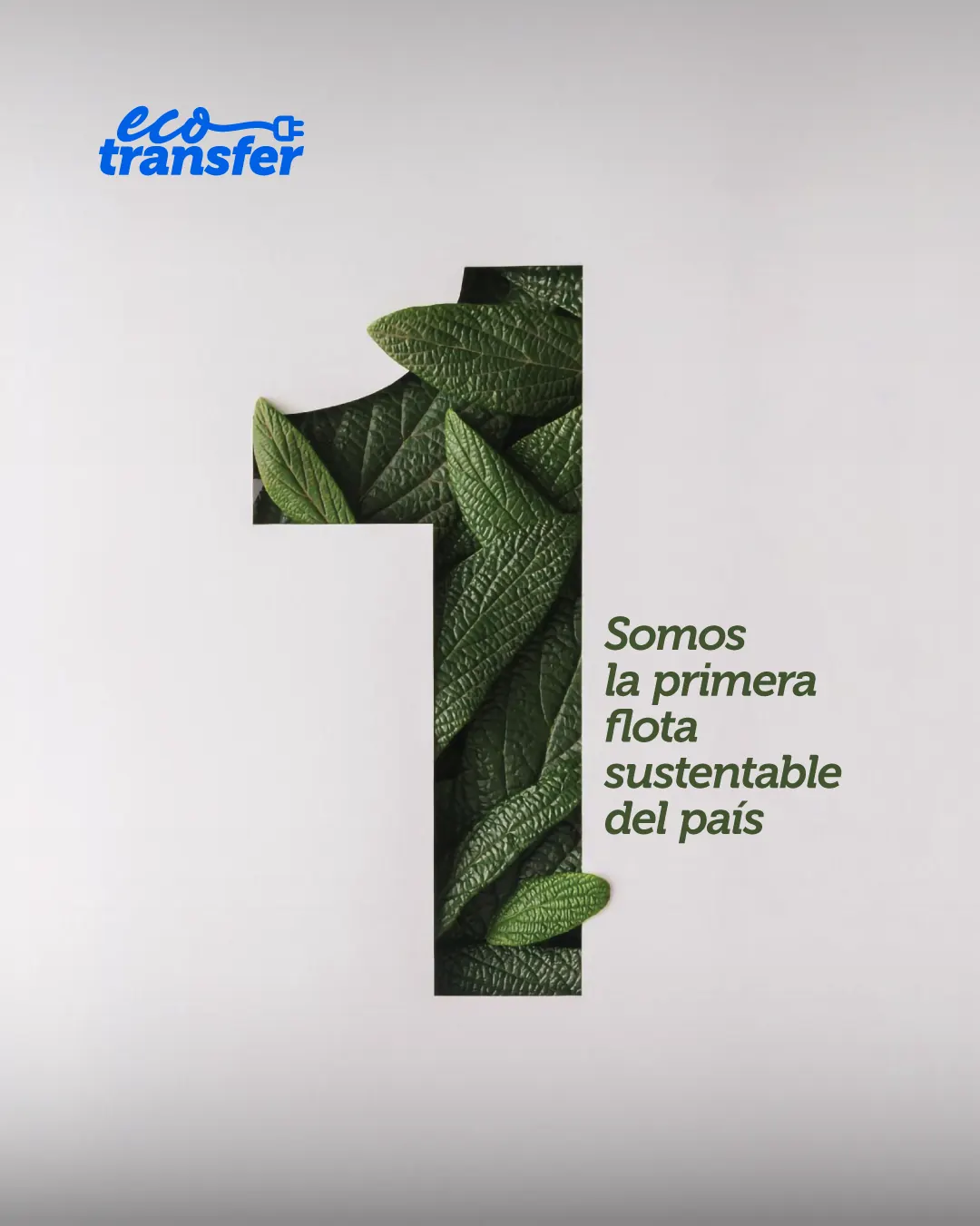 Pieza gráfica de Ecotransfer